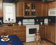 Pastwork Kitchens