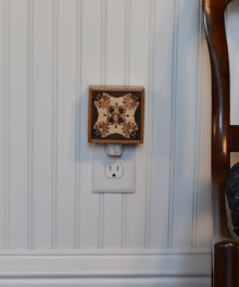 NIGHTLIGHT IN SITU NIGHTLIGHT IN SITU